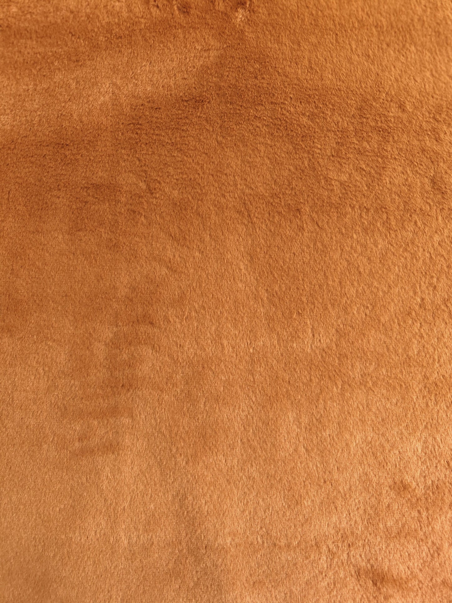 Rabbit Chocolate Unicolor x Metros Ref. 12320