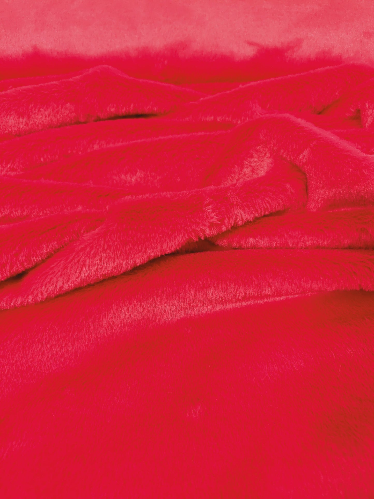 Rabbit Rojo Unicolor x Metros Ref. 12712