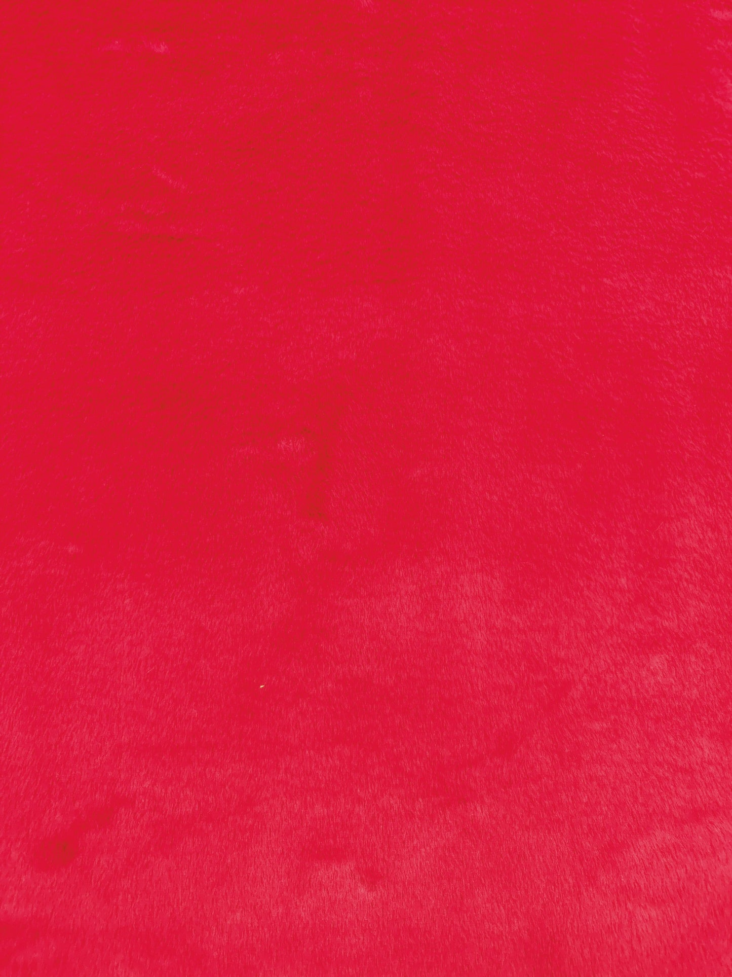 Rabbit Rojo Unicolor x Metros Ref. 12712