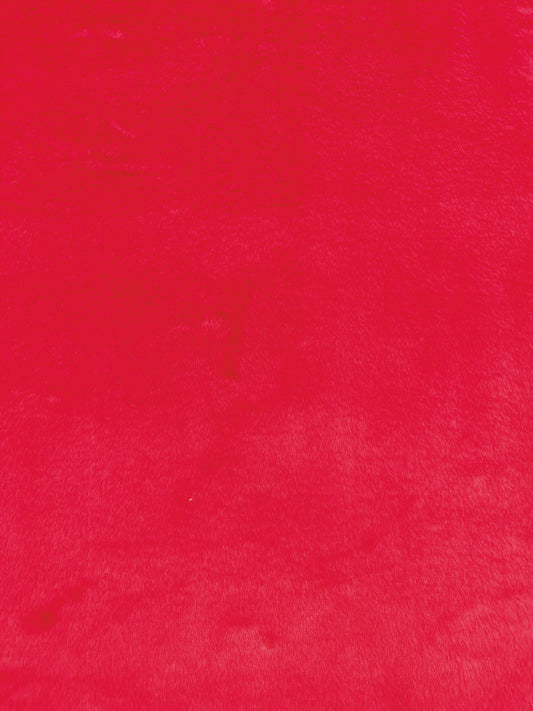 Rabbit Rojo Unicolor x Metros Ref. 12712